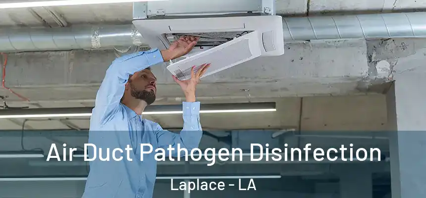 Air Duct Pathogen Disinfection Laplace - LA