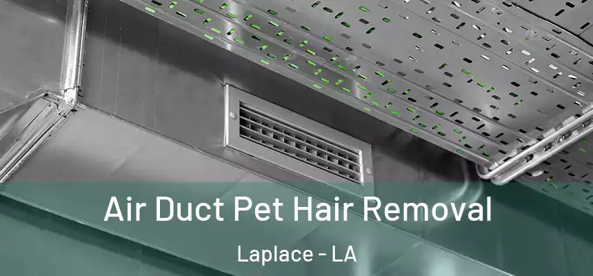  Air Duct Pet Hair Removal Laplace - LA