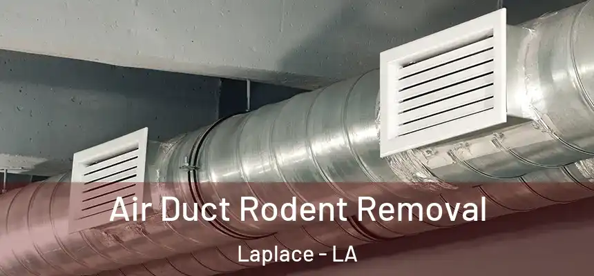  Air Duct Rodent Removal Laplace - LA