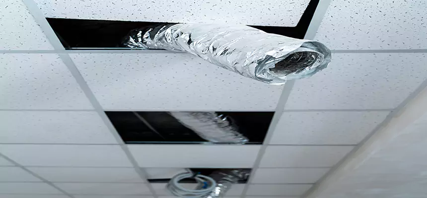 Affordable HVAC Sanitizing After Pest Removal in Laplace