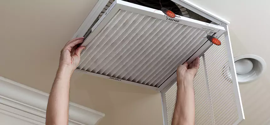 Our Insect Removal from Air Ducts Services in Laplace, LA