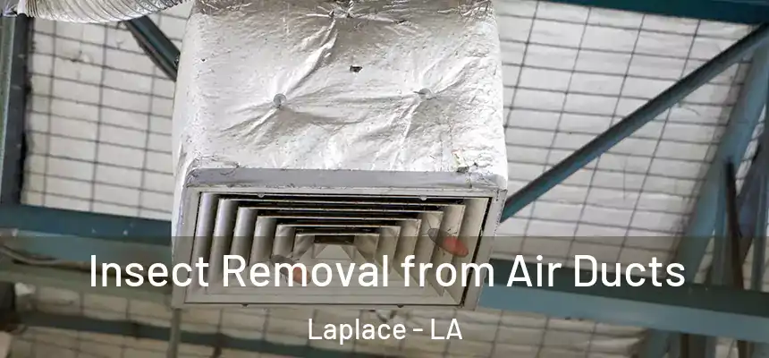 Insect Removal from Air Ducts Laplace - LA