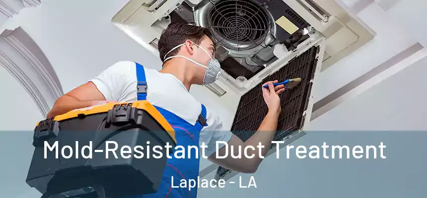 Mold-Resistant Duct Treatment Laplace - LA