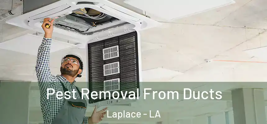  Pest Removal From Ducts Laplace - LA