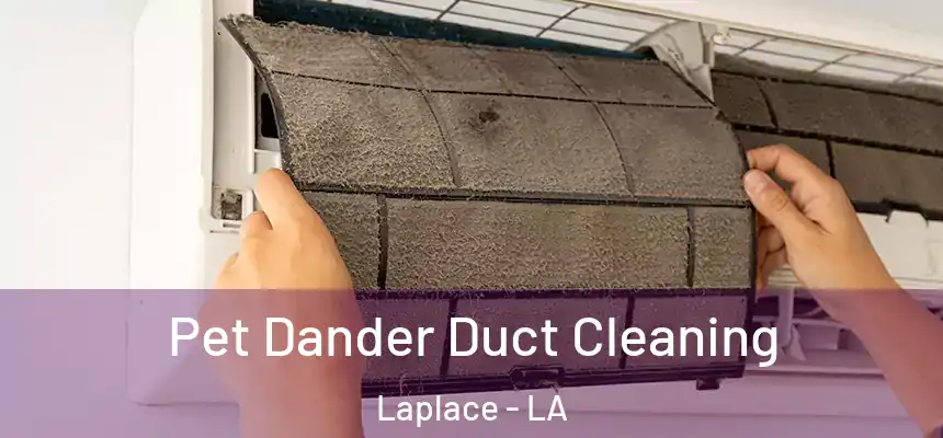  Pet Dander Duct Cleaning Laplace - LA