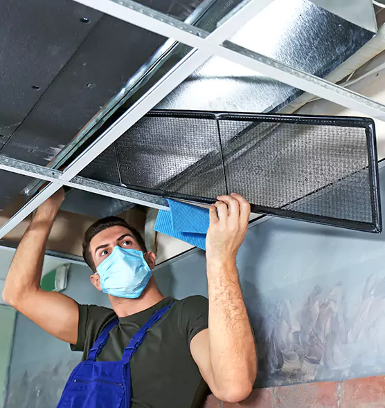 About Air Duct Bacteria Removal in Laplace