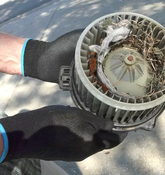 About Air Duct Rat Removal in Laplace, LA