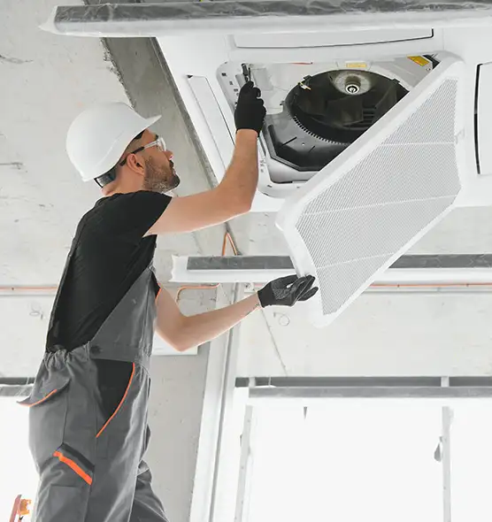 About Air Duct Rodent Removal in Laplace, LA