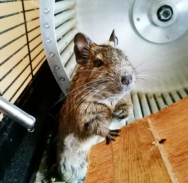 Why Homeowners & Businesses Trust Us Laplace, LA