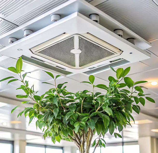 Why Homeowners & Businesses Trust Us in Laplace, LA?