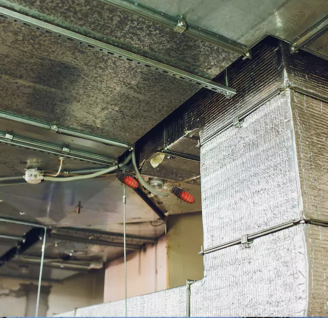 Why Homeowners & Businesses Trust Us Laplace, LA?